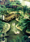 Singapore2001-054.jpg (49958 bytes)