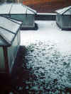 Snow2000-003.jpg (69969 bytes)
